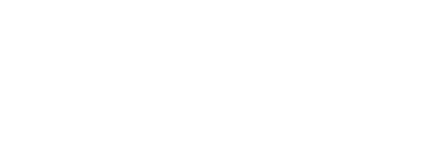Promise Health Plan Logo
